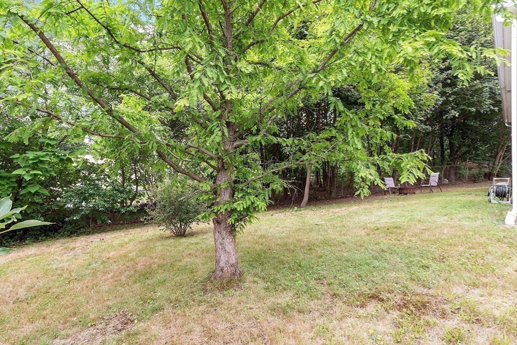 131 Airlie