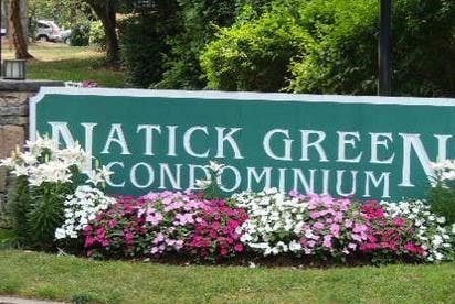 Photo of 3 Post Oak Lane #12, Natick, MA 01760 (MLS # 73530725)