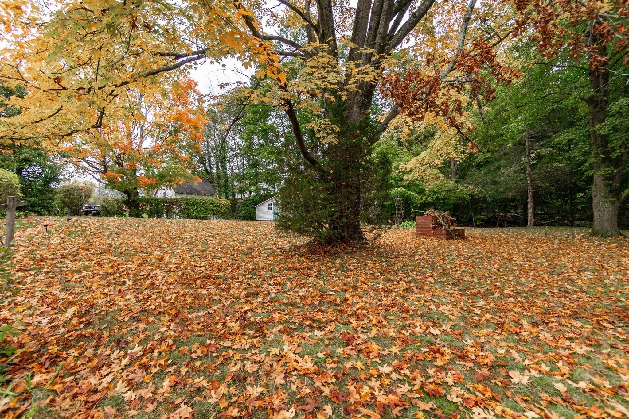 2075 Washington St, Canton, MA, 2075 Washington St, Canton, MA Photo #9