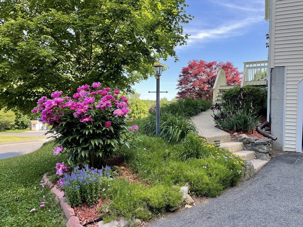 74 Bracken Drive