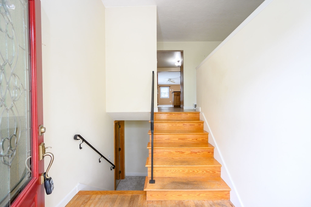 86 Winter St