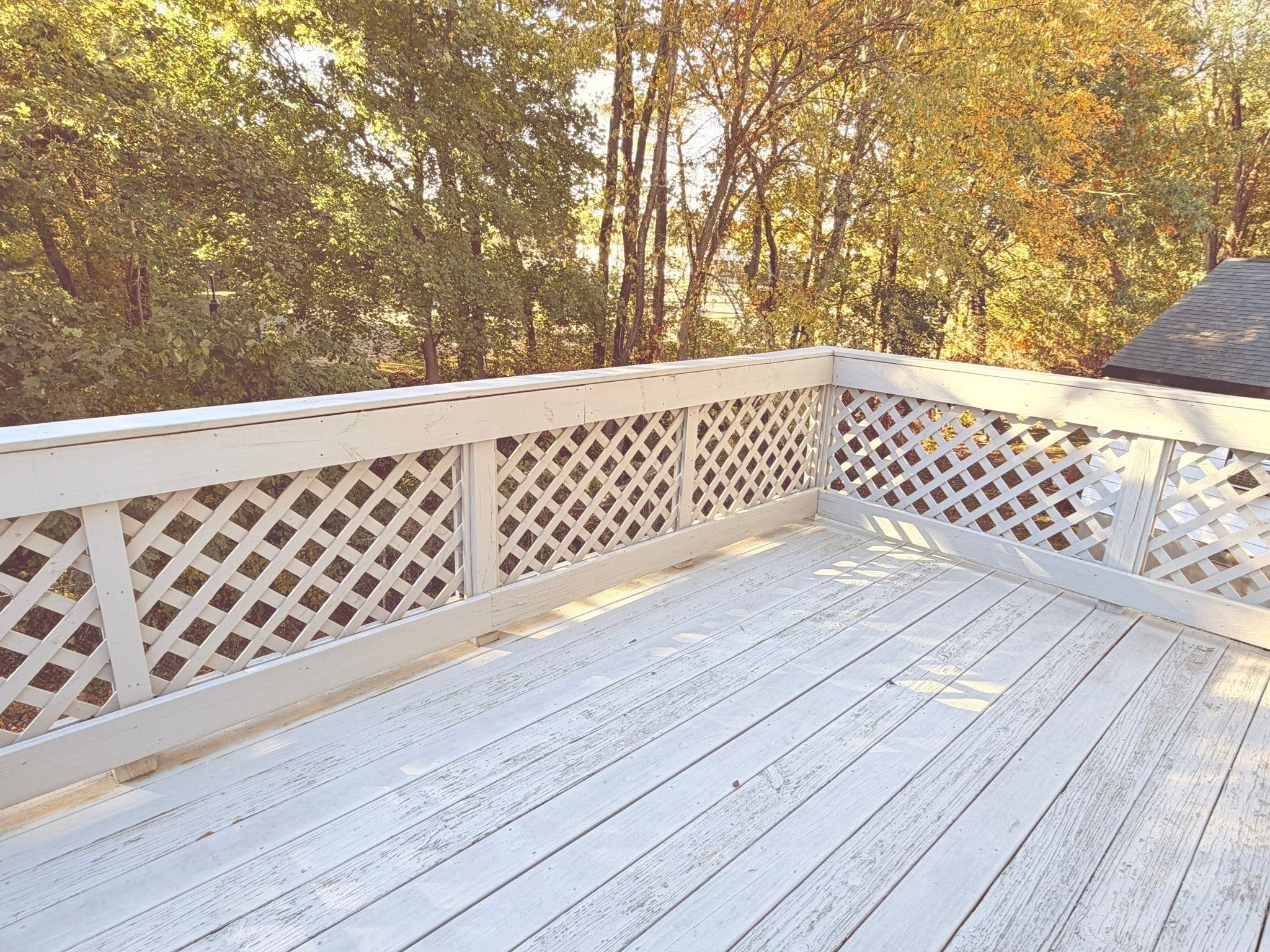 256 Webster Street #2, Newton, MA, 256 Webster Street #2, Newton, MA Photo #13