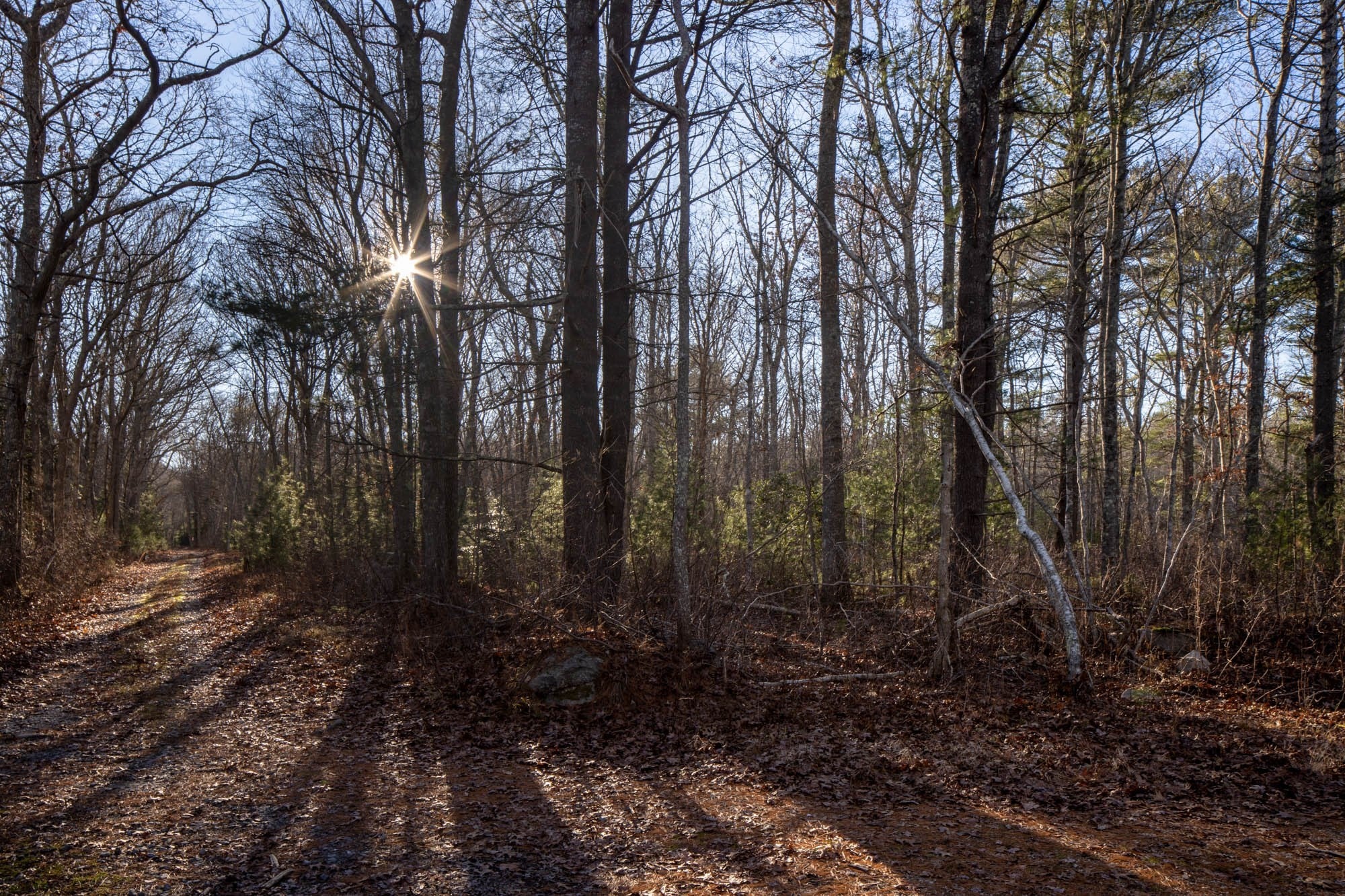 0 Harbor Acres Ln - Lot B