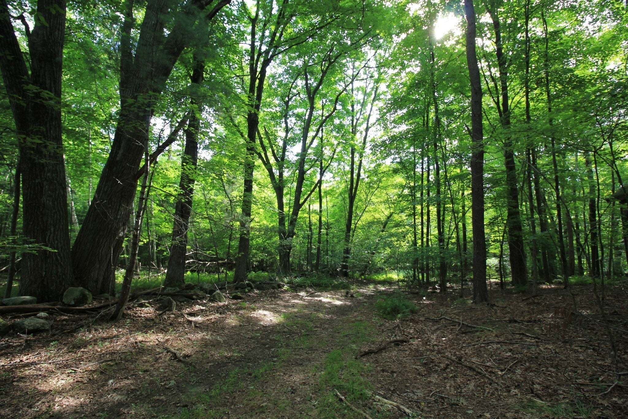 88 Ames Rd, Hampden, MA, 88 Ames Rd, Hampden, MA Photo #38