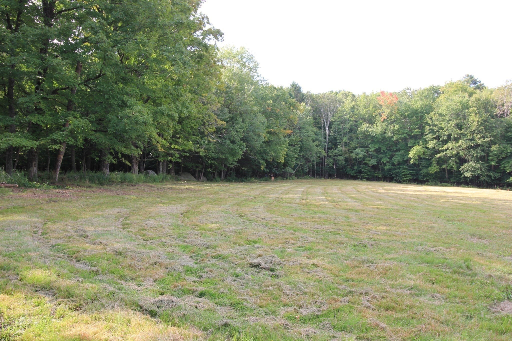 88 Ames Rd, Hampden, MA, 88 Ames Rd, Hampden, MA Photo #36