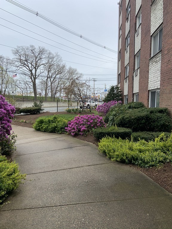 215 Winter St 1P