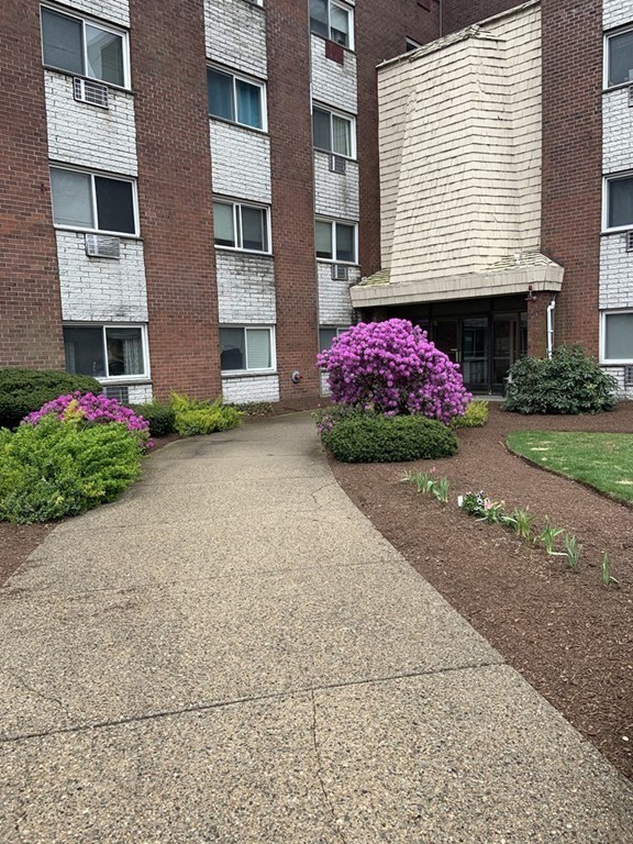 215 Winter St 1P