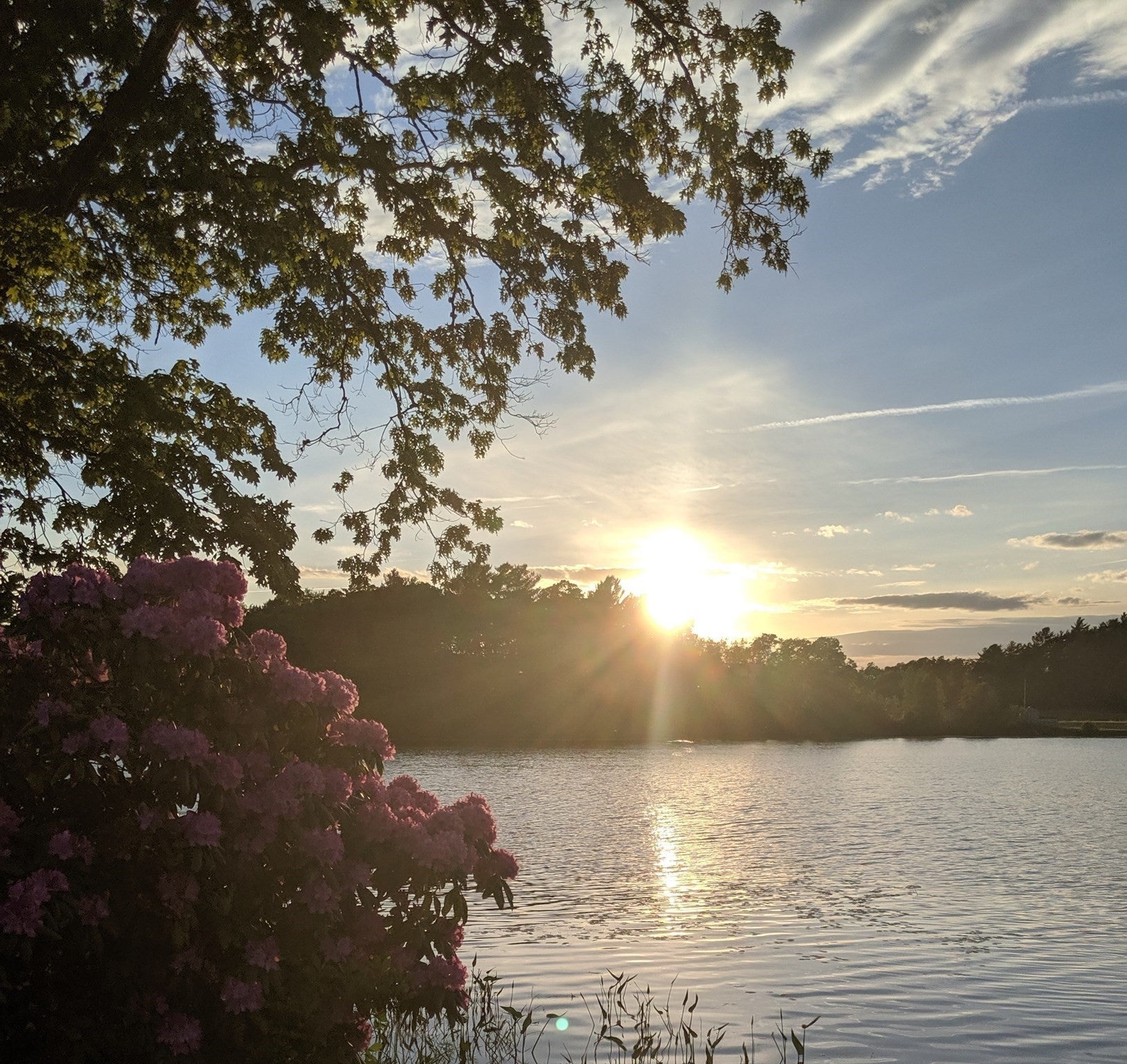 2576 Cranberry Hwy, Wareham, MA, 2576 Cranberry Hwy, Wareham, MA Photo #39