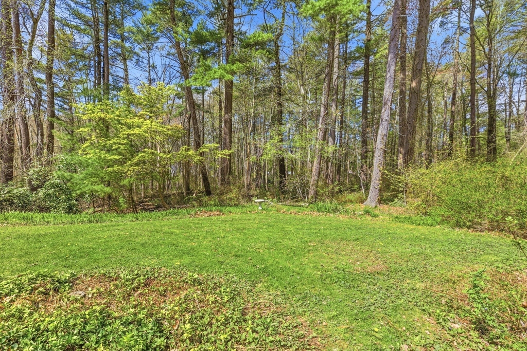 15 May Elm Ln, Norwell, MA Photo #33