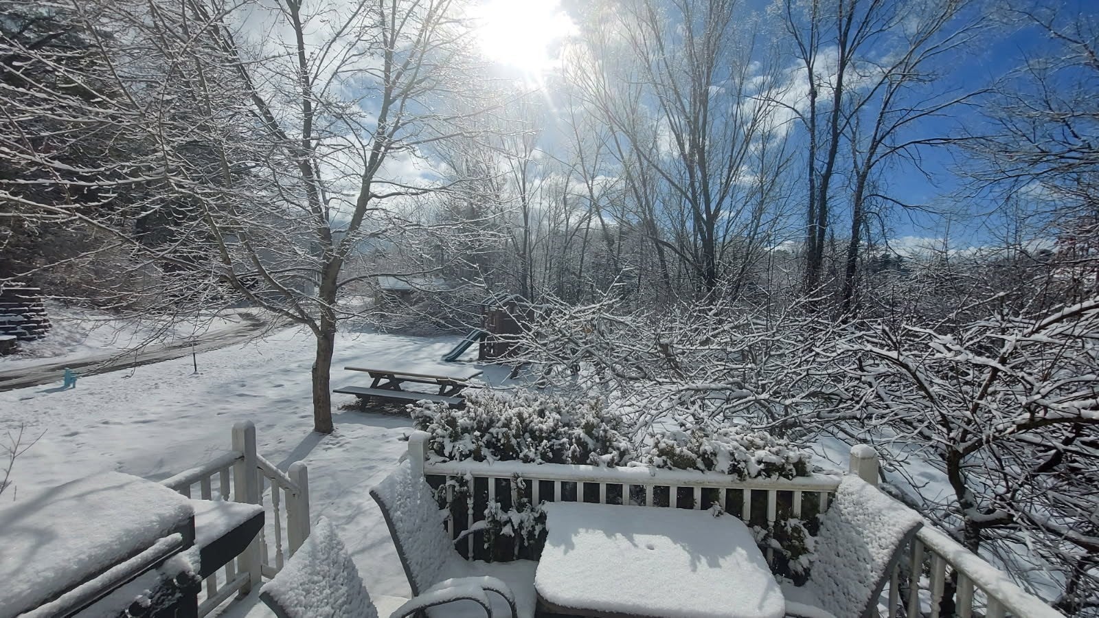 24 Hatikva Way, Chelmsford, MA Photo #37