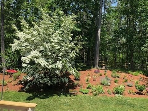 7 Trout Brook Way, Shirley, MA, 7 Trout Brook Way, Shirley, MA Photo #36