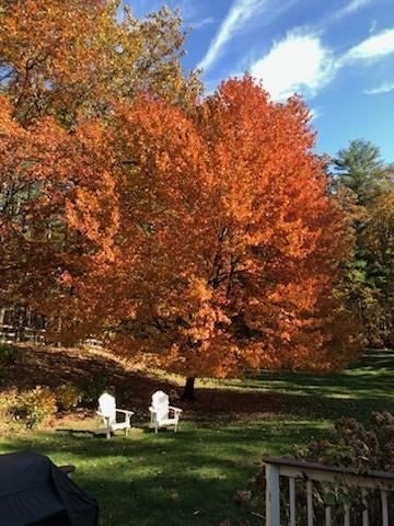 7 Trout Brook Way, Shirley, MA, 7 Trout Brook Way, Shirley, MA Photo #35