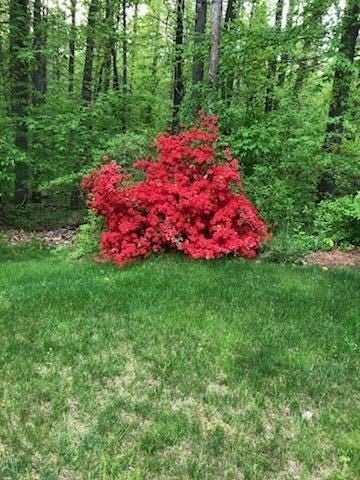 7 Trout Brook Way, Shirley, MA, 7 Trout Brook Way, Shirley, MA Photo #40