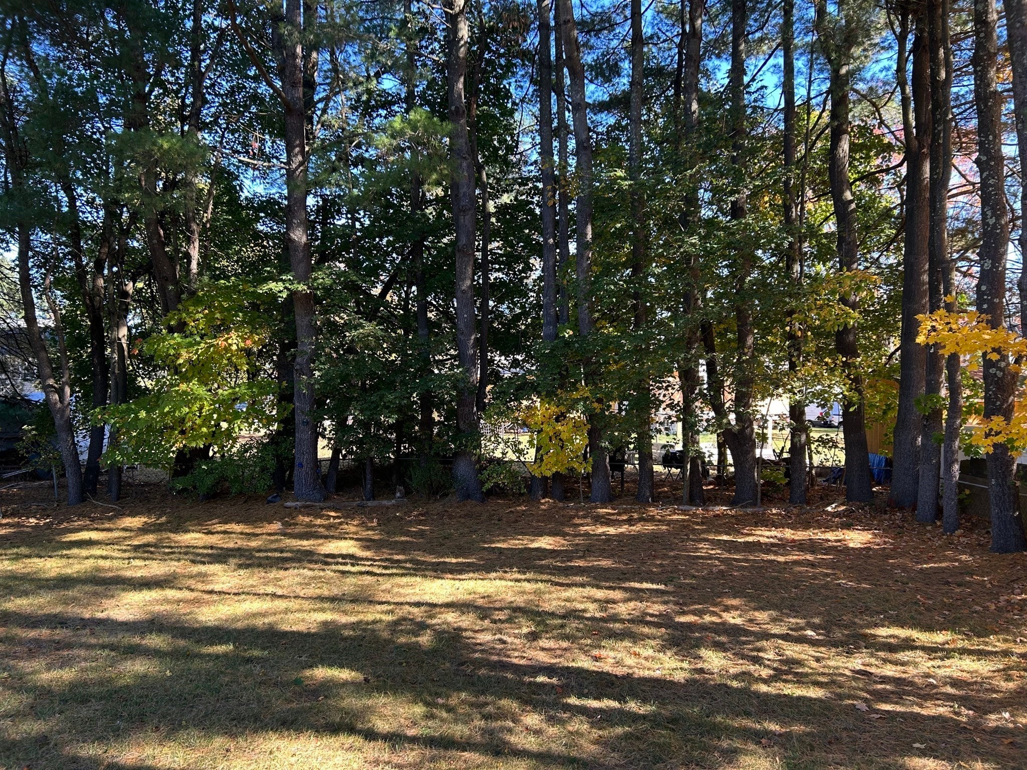 46 Neillian Street #46, Bedford, MA, 46 Neillian Street #46, Bedford, MA Photo #7