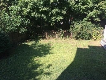 91 Bradford Rd #2, Watertown, MA, 91 Bradford Rd #2, Watertown, MA Photo #11