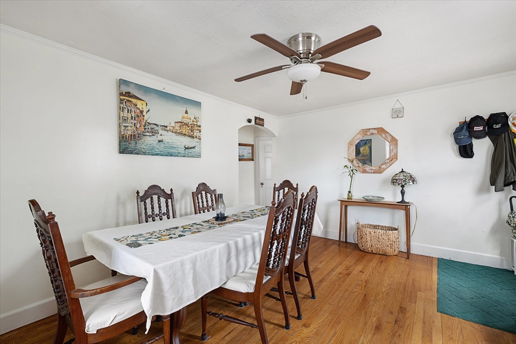 11 Alexander Rd
