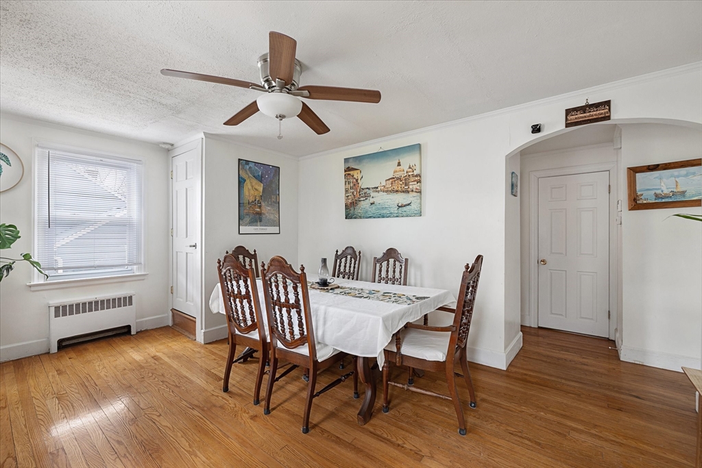 11 Alexander Rd