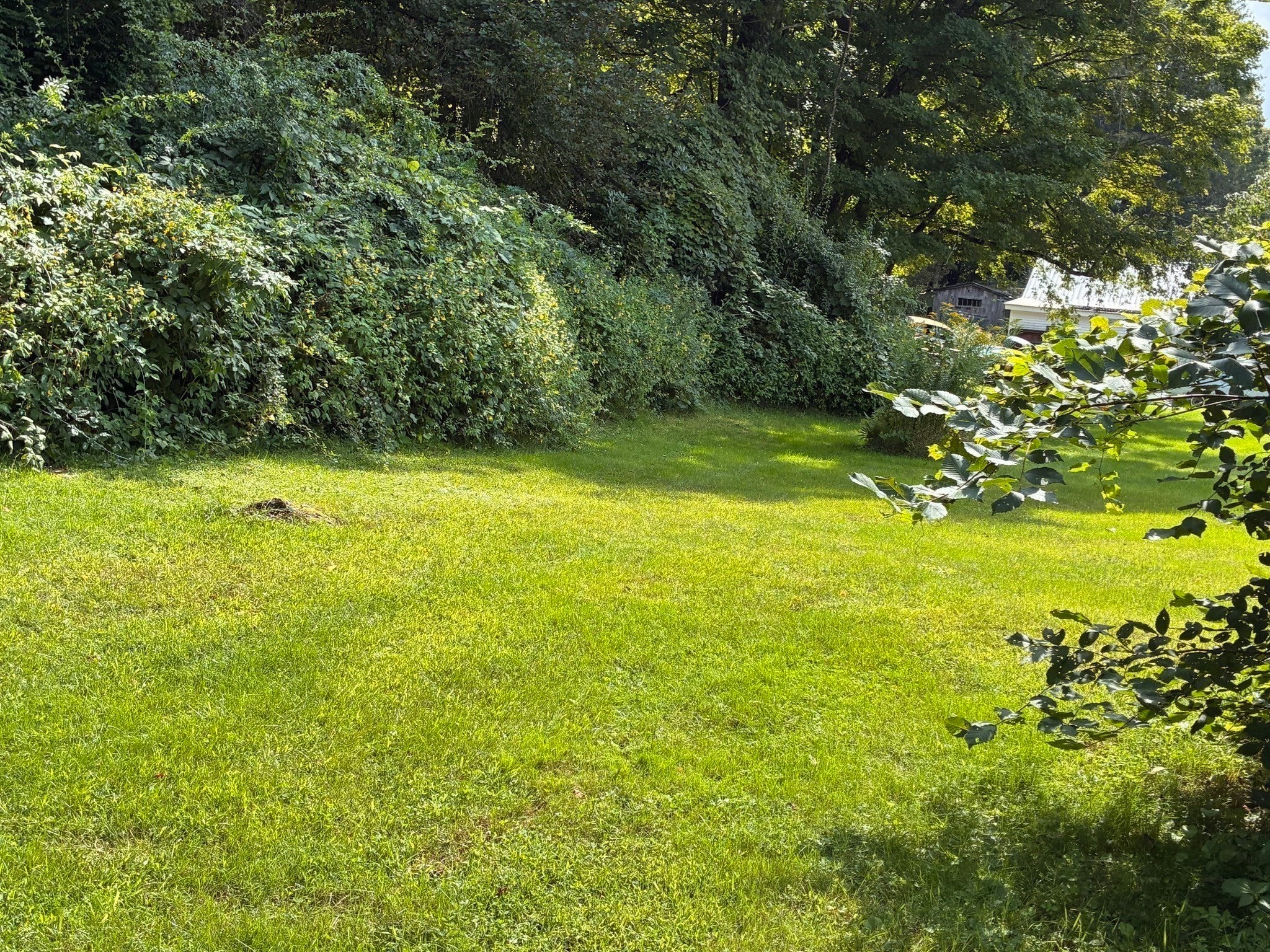 9 River St, Colrain, MA Photo #4