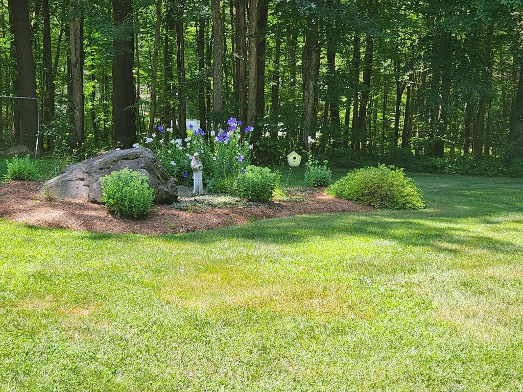 44 Buffum Rd