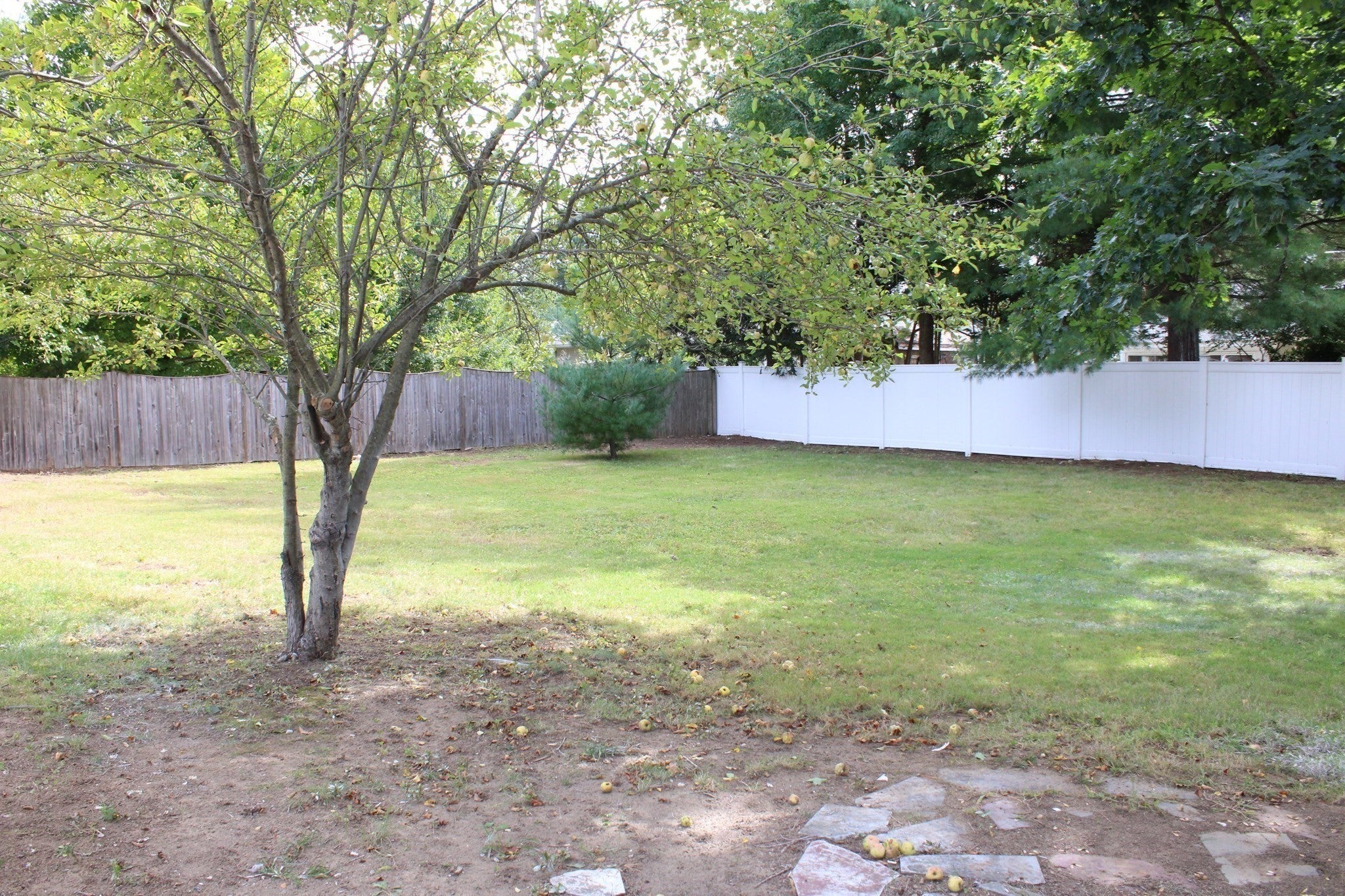 158 Woodcrest Rd, Springfield, MA, 158 Woodcrest Rd, Springfield, MA Photo #17