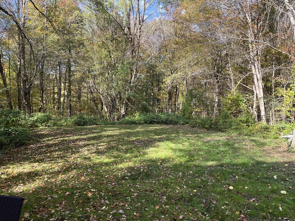 56 Morton Station Rd 4