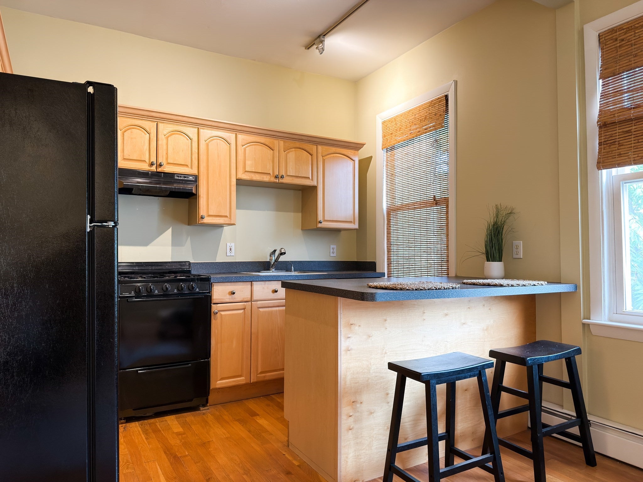 392 Norfolk St #2, Cambridge, MA, 392 Norfolk St #2, Cambridge, MA Photo #6