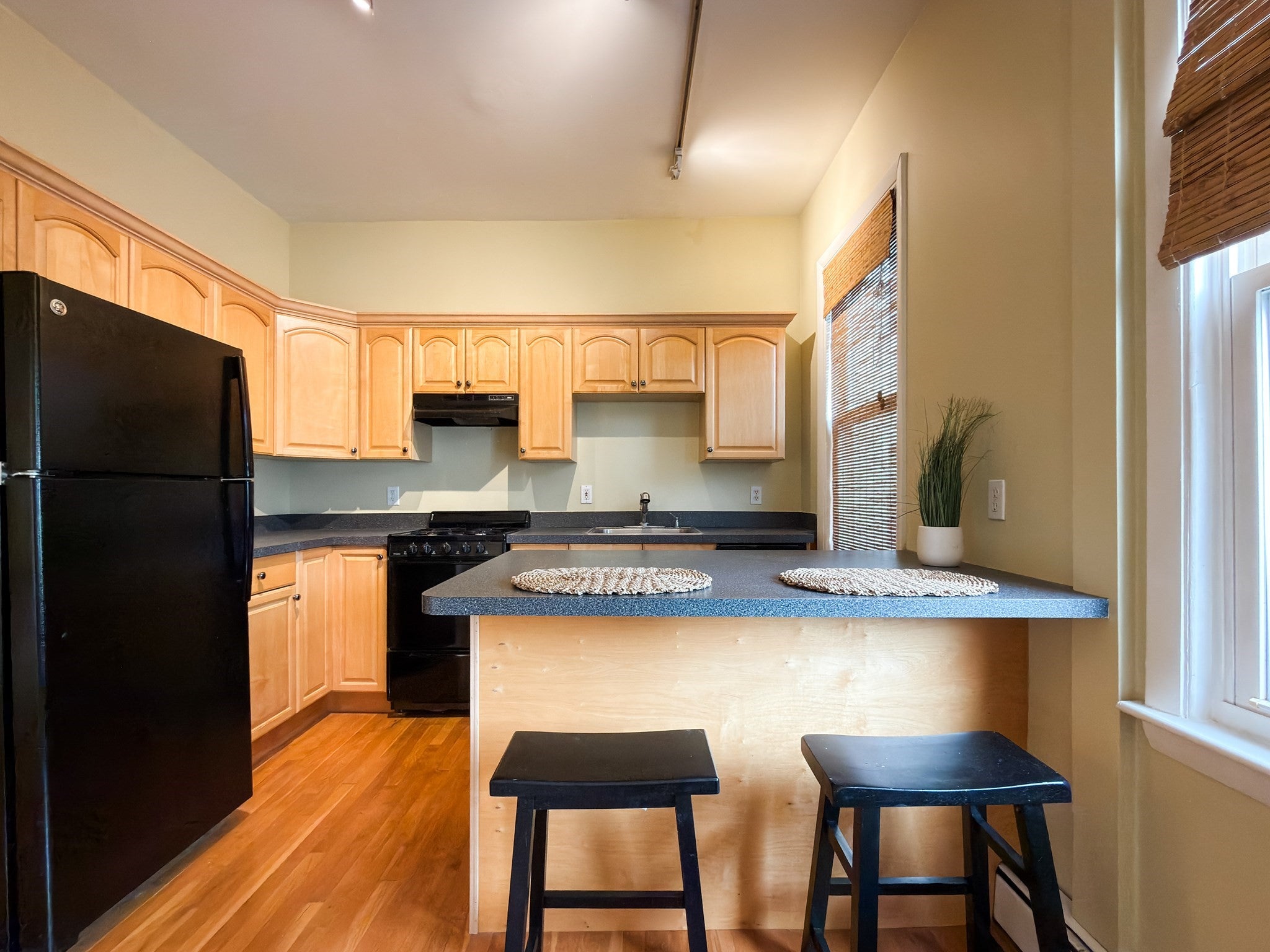 392 Norfolk St #2, Cambridge, MA, 392 Norfolk St #2, Cambridge, MA Photo #7