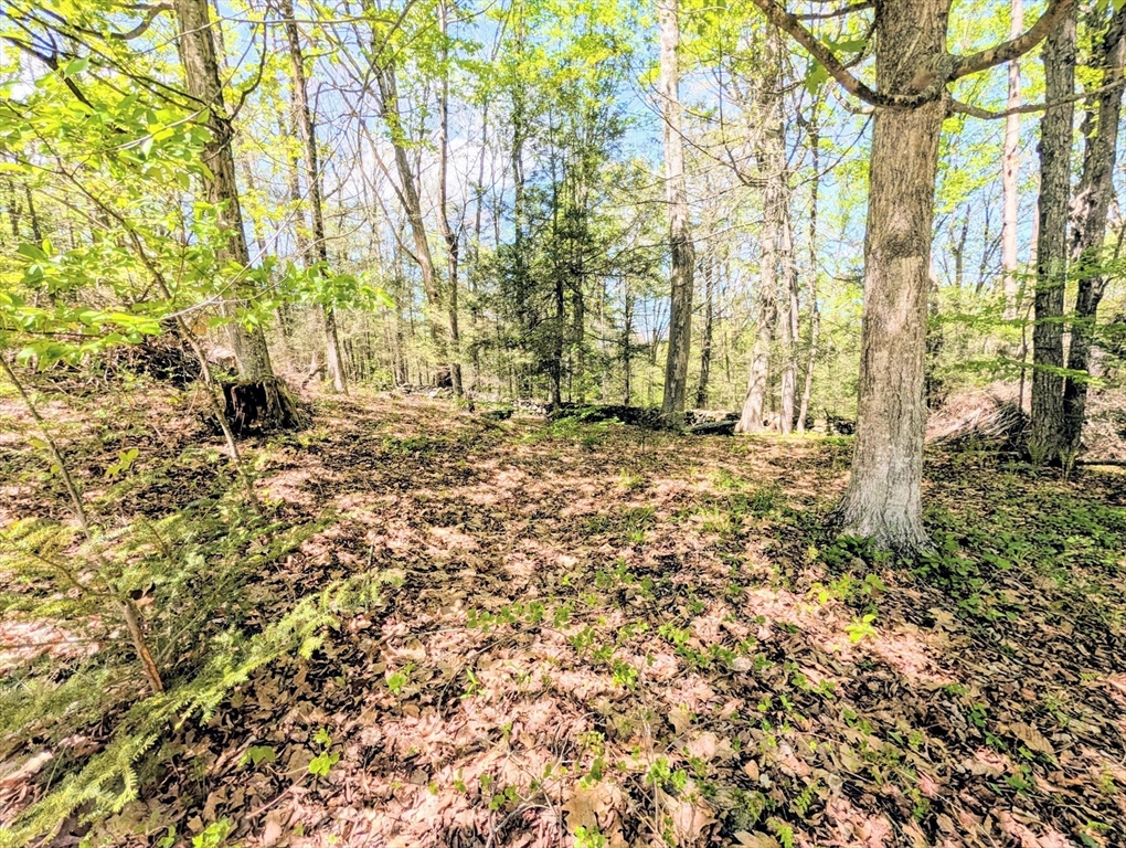 51 Russell Stage Rd, Blandford, MA Photo #15