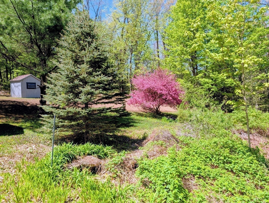 51 Russell Stage Rd, Blandford, MA Photo #14