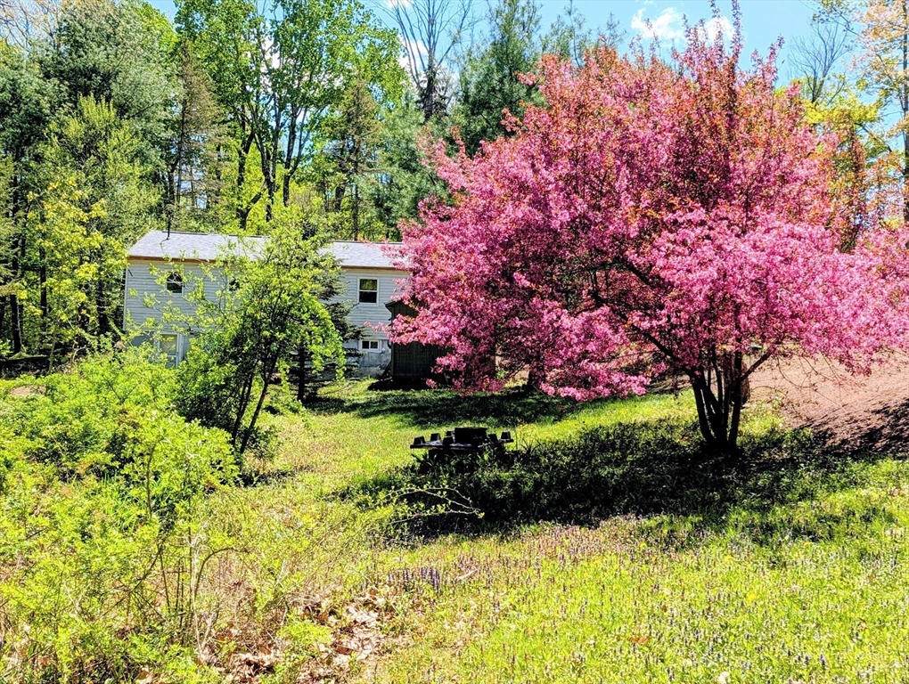 51 Russell Stage Rd, Blandford, MA Photo #16
