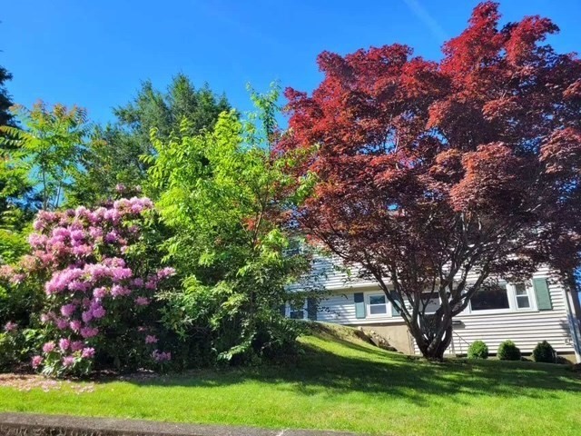 170 Ravenswood