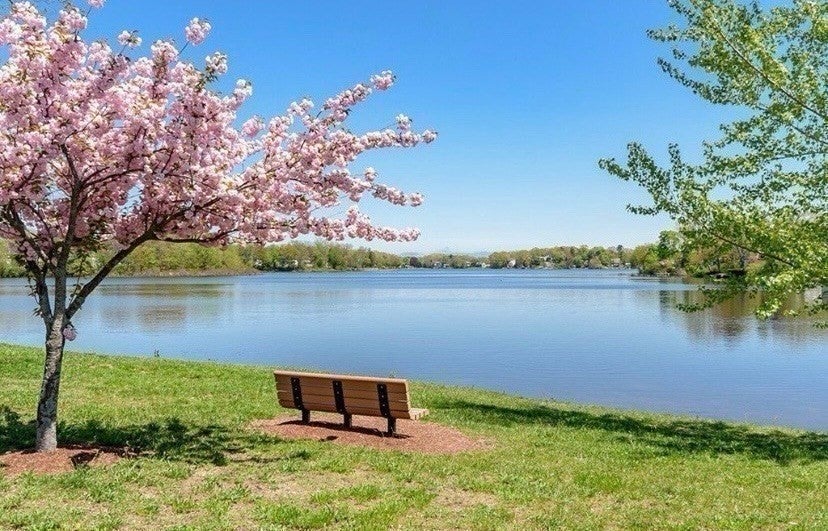 233 Lake St #D, Weymouth, MA, 233 Lake St #D, Weymouth, MA Photo #17