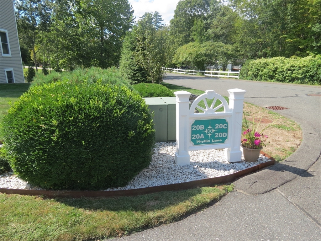 20 B Phyllis Lane