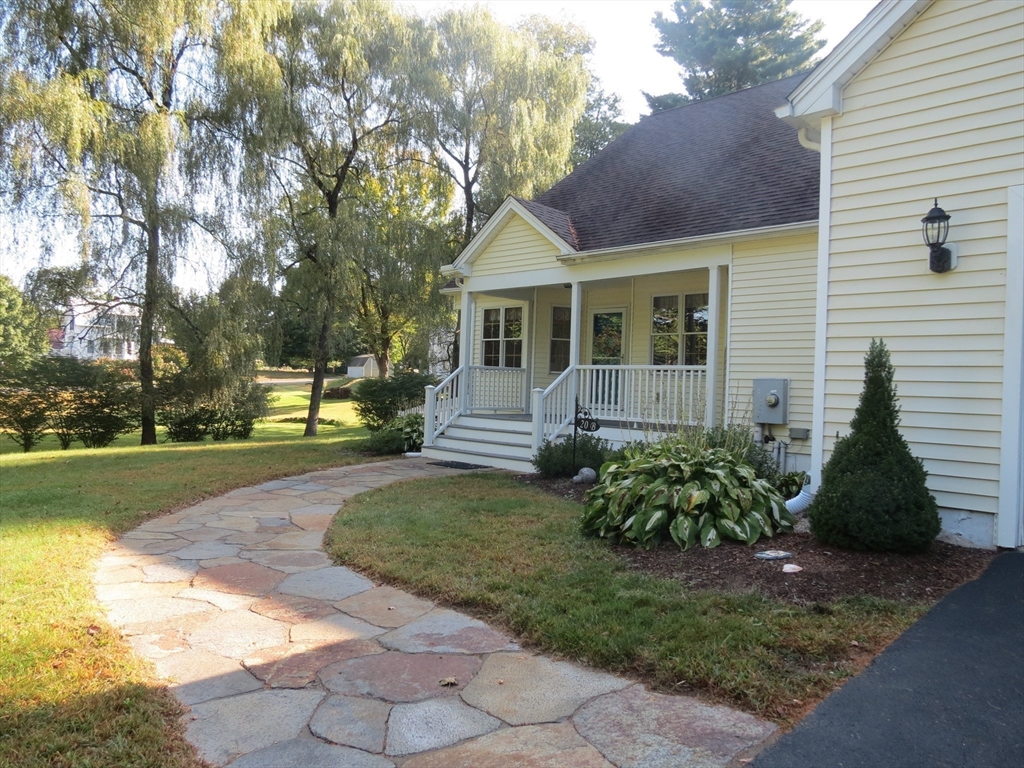 20 B Phyllis Lane