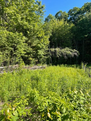 2 JASON'S WAY, BELCHERTOWN, MA 01007 - Image 5f978dc4eefe1955e47a2c2c52fe8f82/1745416469