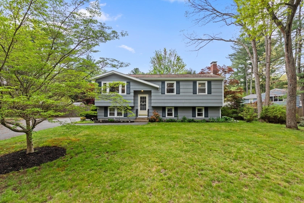 12 Haskell St