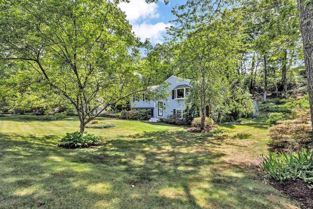 6 Woodvale Ave