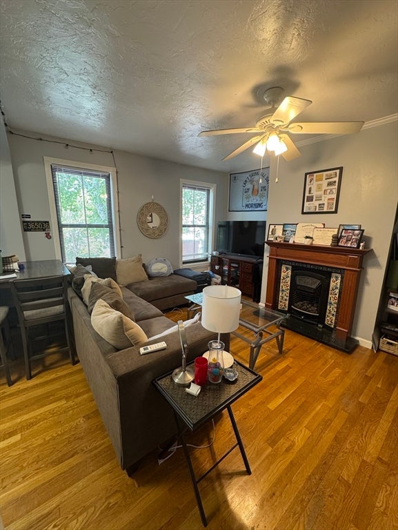 235 Northampton St #2, Boston, MA, 235 Northampton St #2, Boston, MA Photo #3