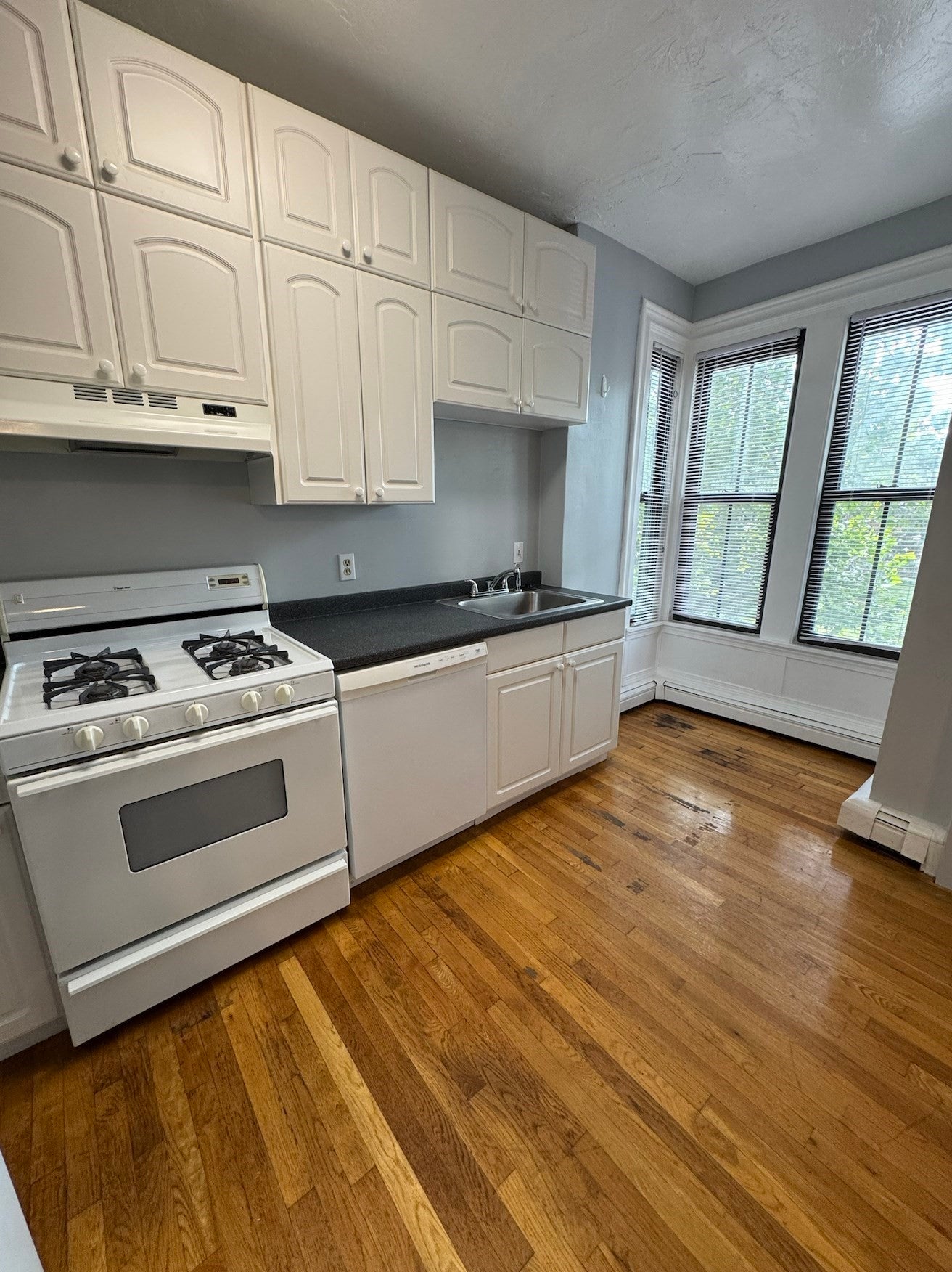 235 Northampton St #2, Boston, MA Photo #5