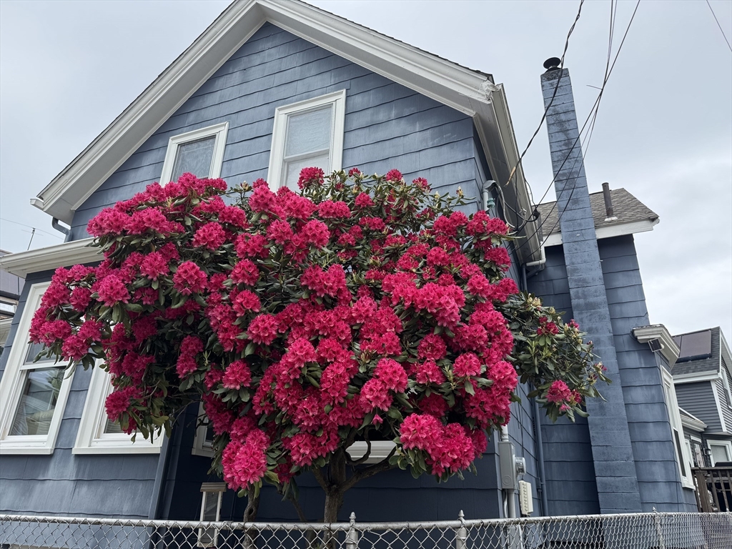 36 Clarendon Ave