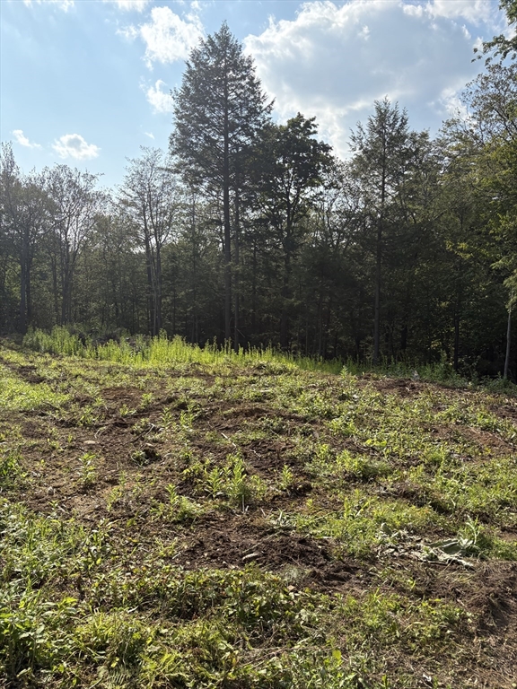 TS12 &TTR8 Slope Rd & Traaack