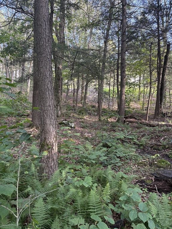 TS12 &TTR8 Slope Rd & Traaack