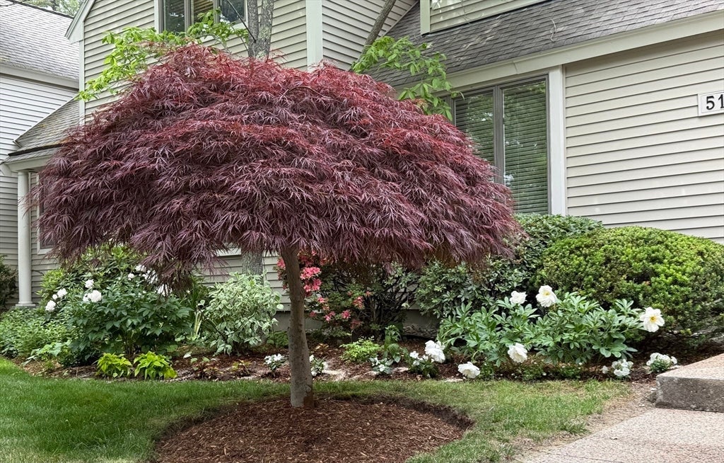 51 Brassie Way #51, North Reading, MA, 51 Brassie Way #51, North Reading, MA Photo #32