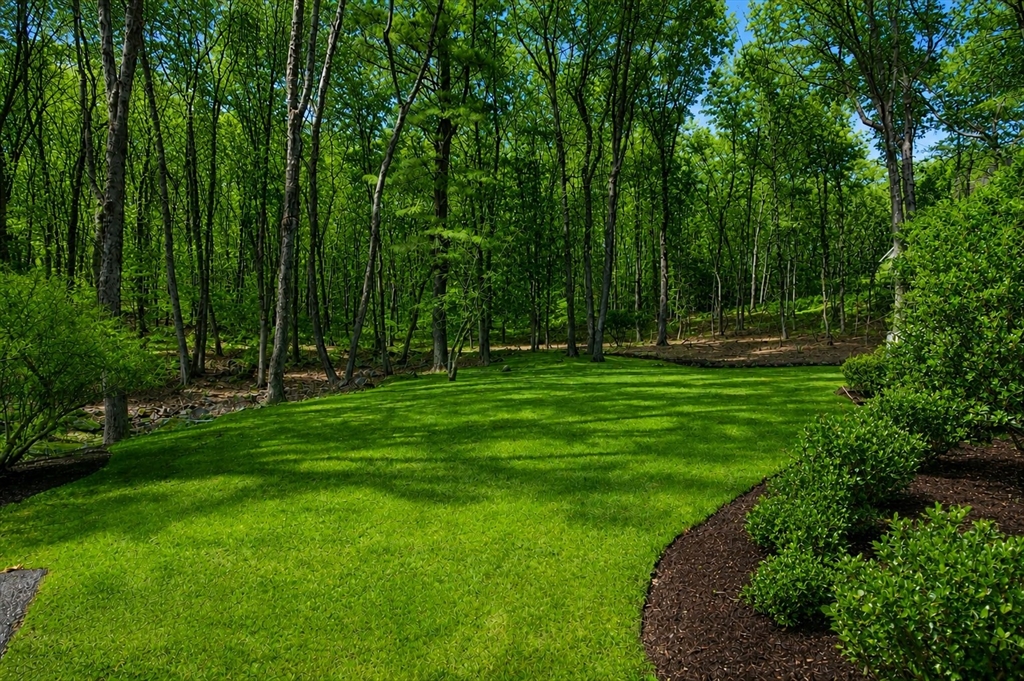 172 Country Drive