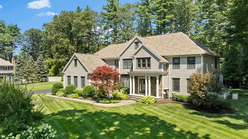 15 Lewis Path
