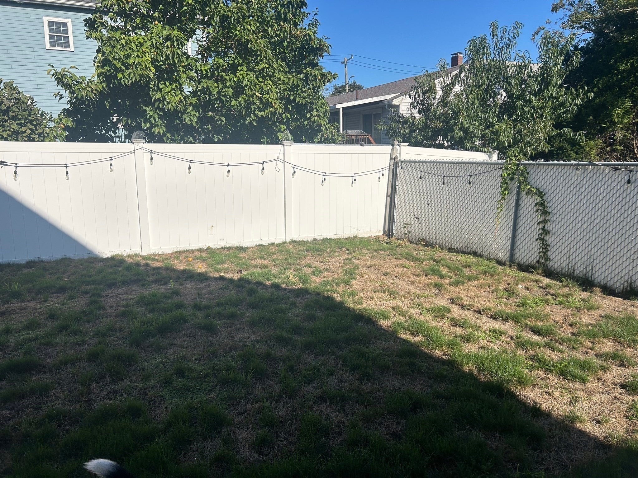 15 Farrin Street #1, Boston, MA, 15 Farrin Street #1, Boston, MA Photo #17