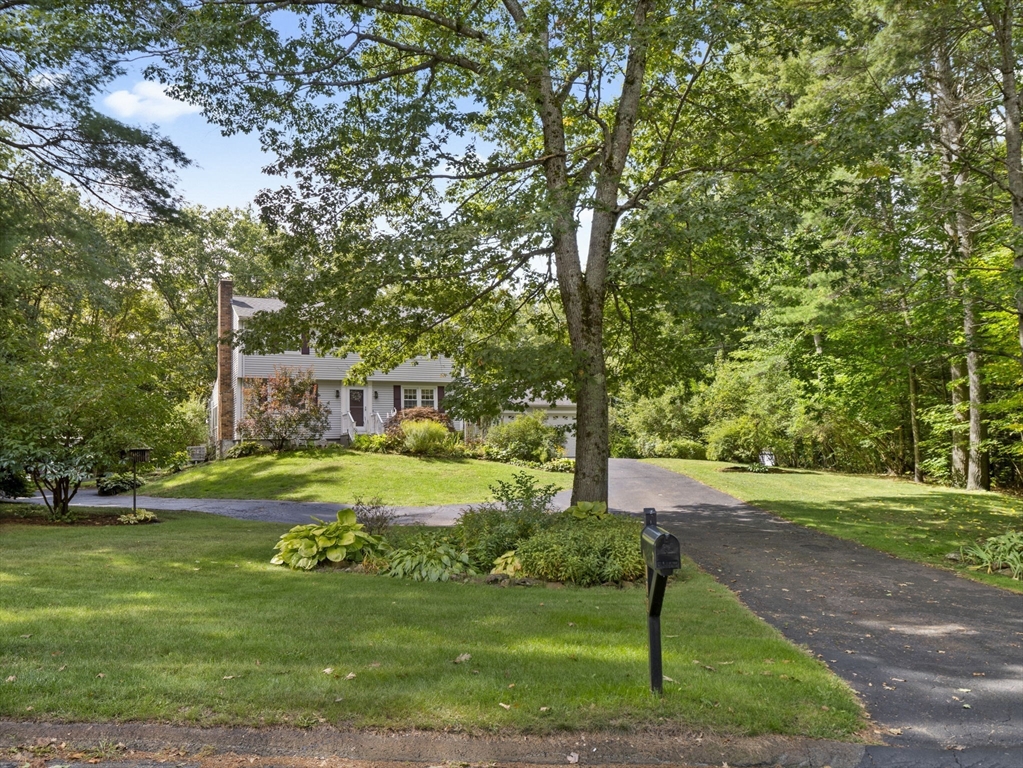 126 Holly Drive