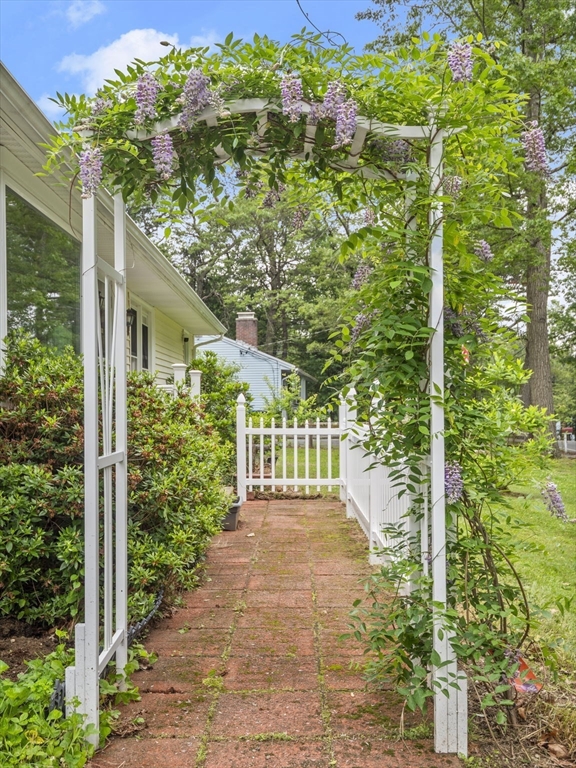 21 Hartwell St.