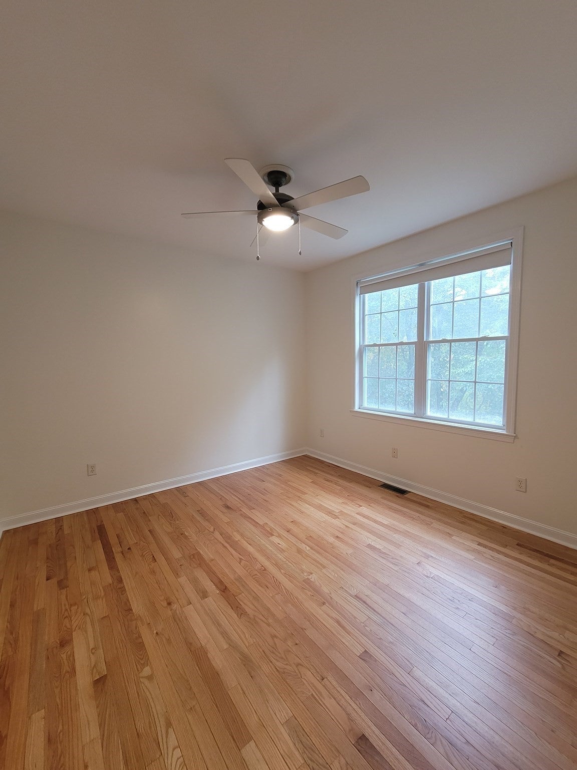 14 Aldrich Way, Ashland, MA Photo #12