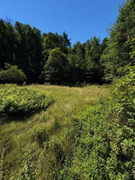 62 E Chestnut Hill Rd, Montague, MA Photo #21